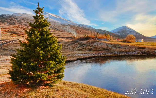 A Christmas Tree by Gunnlaugur Jónsson