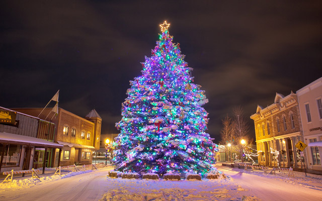 Oh Christmas Tree by Ryan Wright